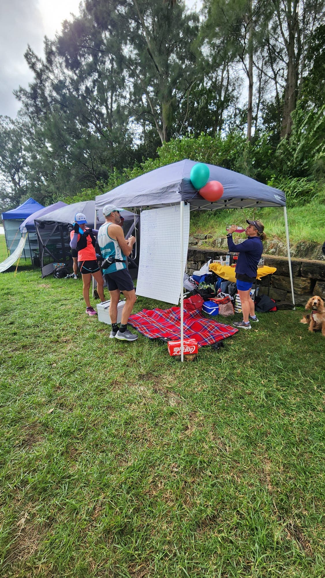 Bayrun Image 3